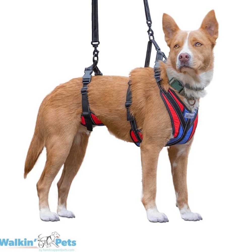 Walkin’ Lift-n-Step Harness